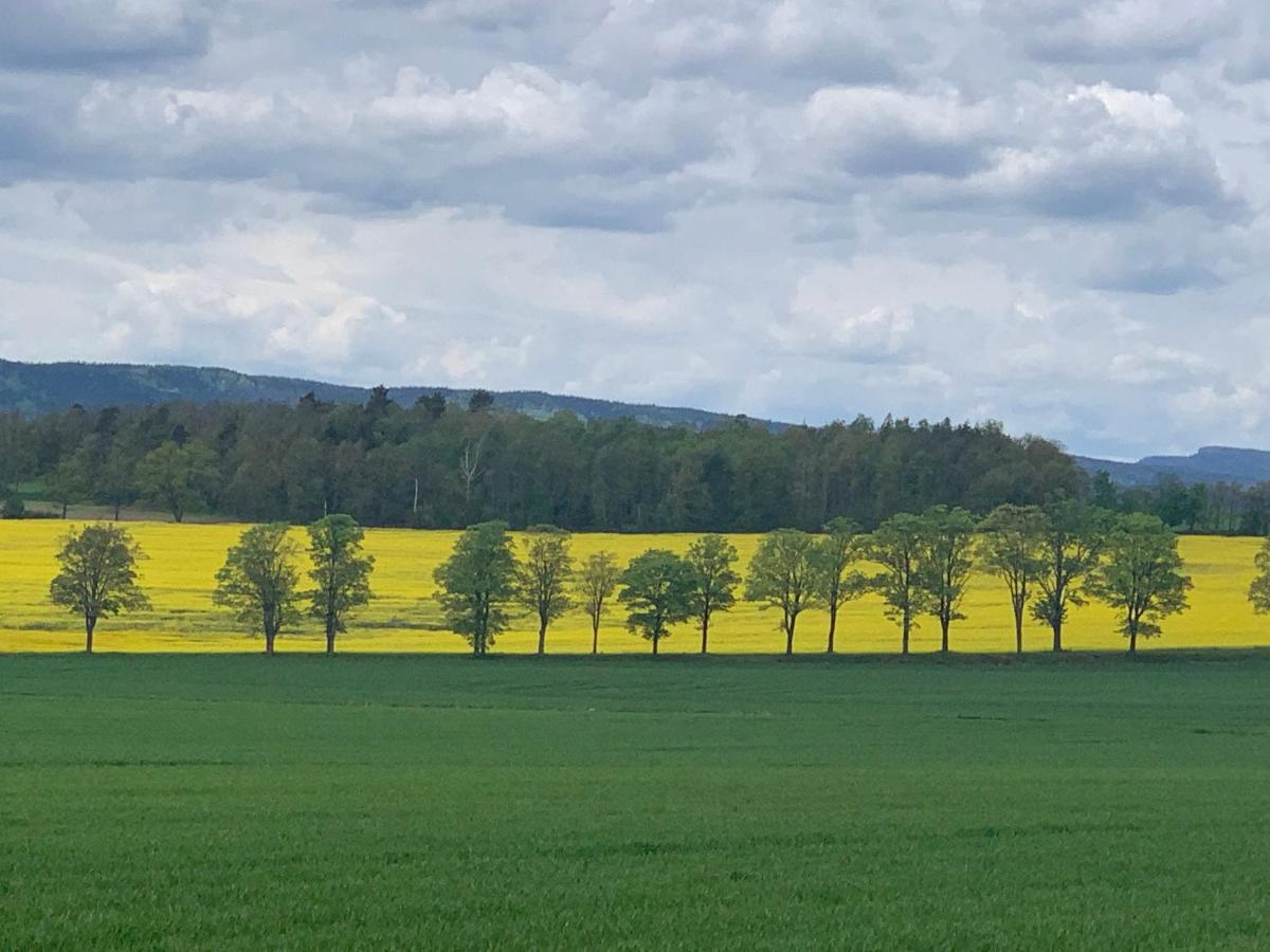 Dom Na Wzgorzu Villa Polanica-Zdrój Exteriör bild