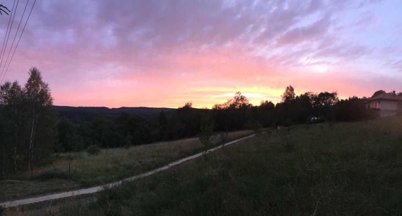 Dom Na Wzgorzu Villa Polanica-Zdrój Exteriör bild