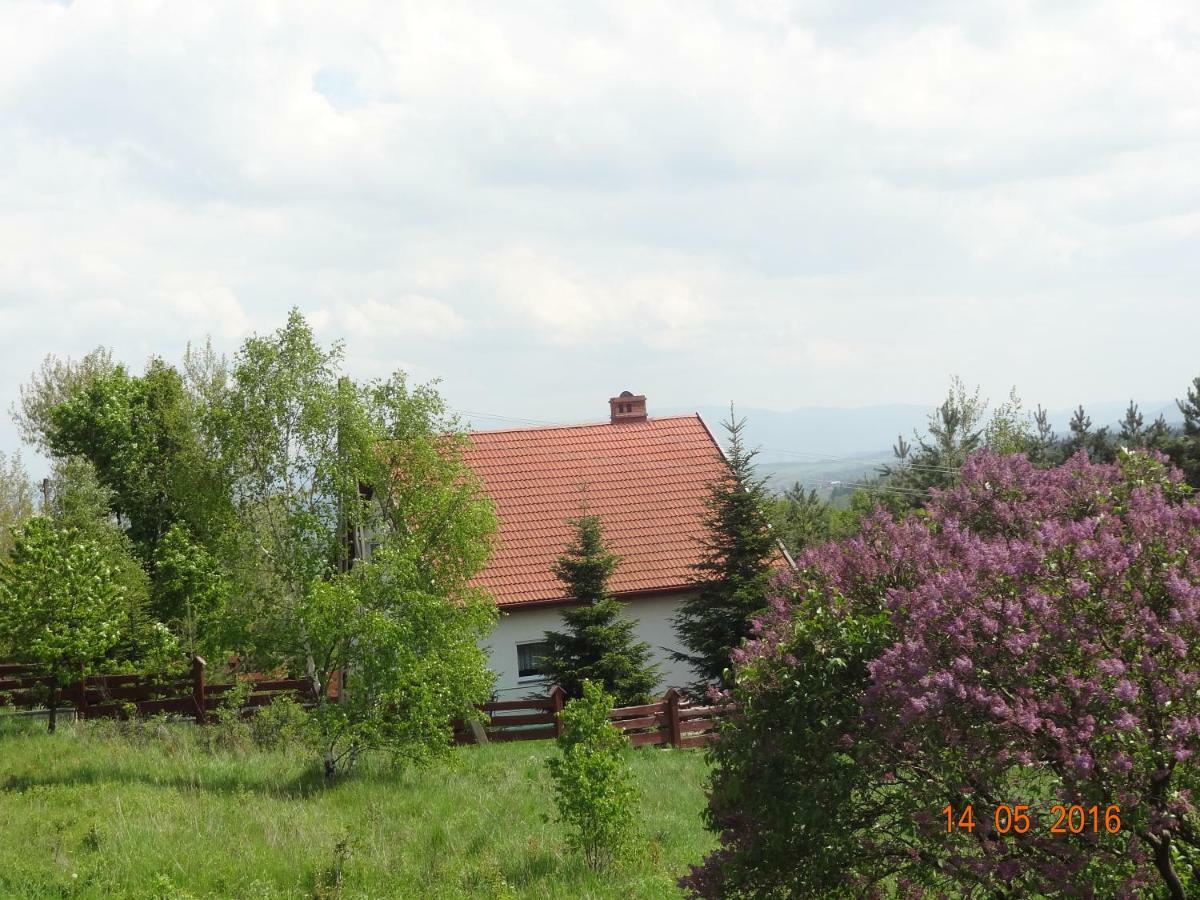 Dom Na Wzgorzu Villa Polanica-Zdrój Exteriör bild