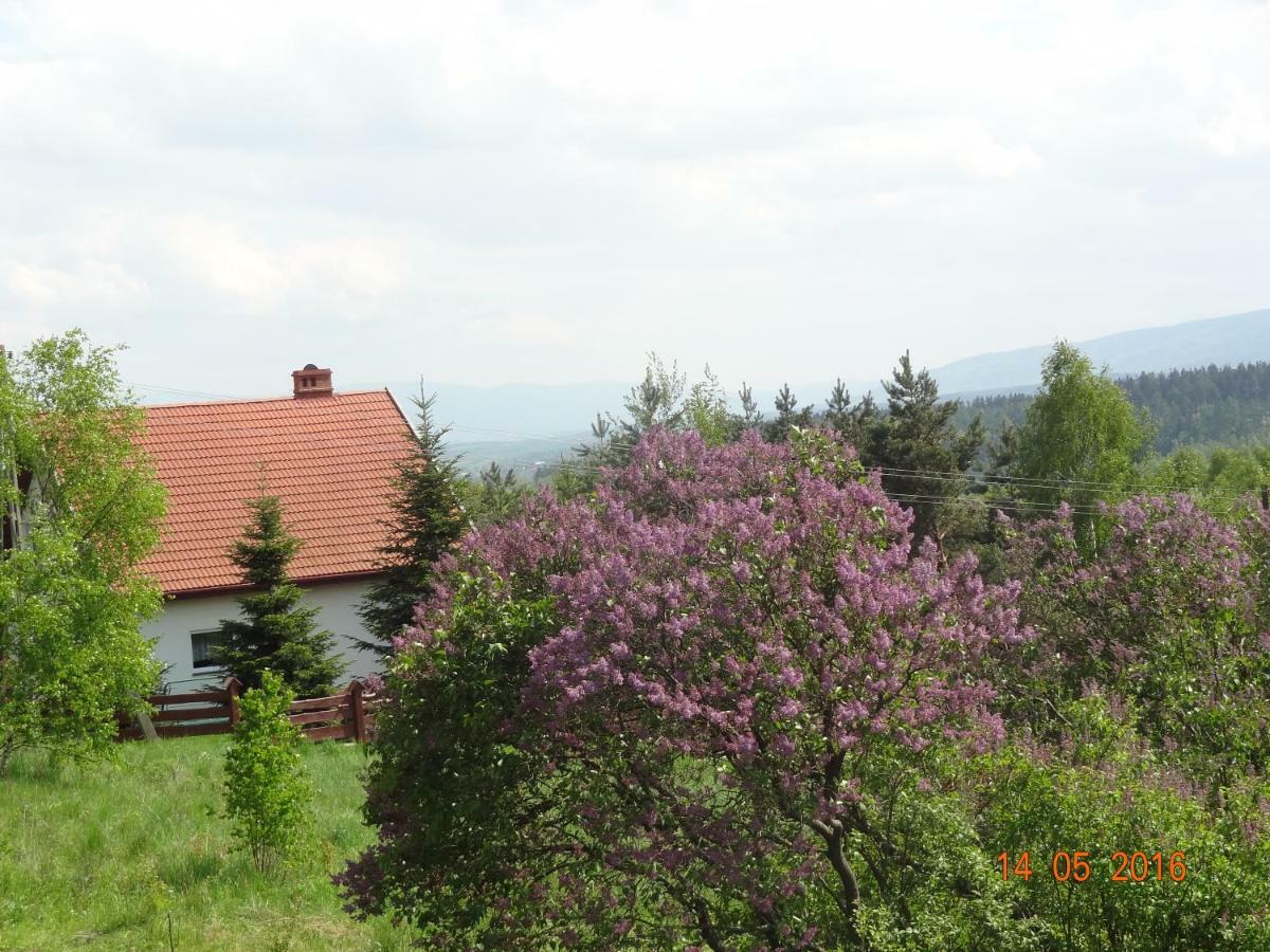 Dom Na Wzgorzu Villa Polanica-Zdrój Exteriör bild