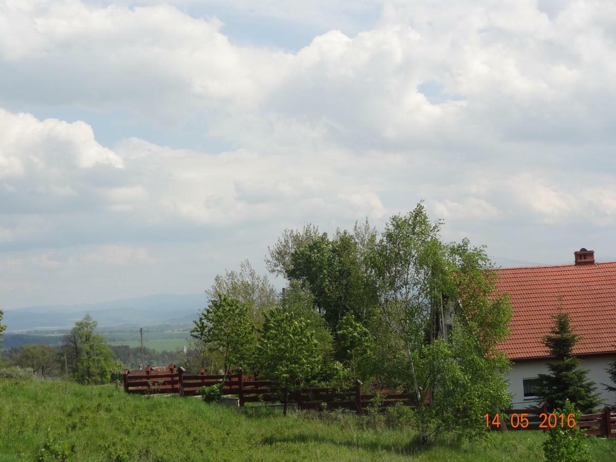 Dom Na Wzgorzu Villa Polanica-Zdrój Exteriör bild